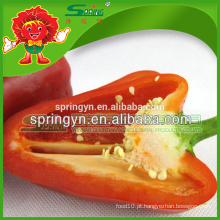Fornecedor de Capsicum chinês pimenta doce congelada saudável